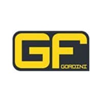 логотип Gordini