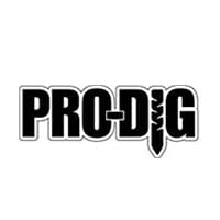 логотип Prodig